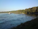 Vody Moravy posílily právě řeku Dunaj, kde voda i při nízkém stavu proudí opravdu dost silně.