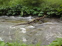 Je zajímavé, že takový klacek se udrží akrobatickým způsobem na kameni v řece Moravě.