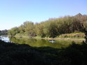 Osamělý kajakář na řece Moravě mezi obcemi Malé Leváre a Gajary.