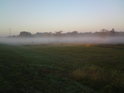 Ranní mlha na pravém břehu Moravy u Lanžhota.