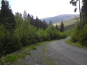 Pravobřežní asfaltová horská cesta podél Moravy.