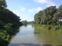 Řeka Morava u obce Uhřičice.