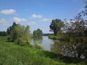 Regulace řeky Moravy nedaleko Kojetína je přece jenom oku lahodící, alespoň tedy ve srovnání s jinými, přímo kanalizovanými úseky.