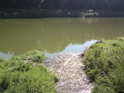 Soutok Moravy a Zlechovského potoka nevypadá zrovna romanticky, ale i taková je řeka.