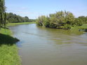Řeka Morava nad Uherským Ostrohem, od projíždějícího člunu rozvlněná. Vzadu vlevo začíná odlehčovací rameno Moravy.