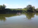 Osamělí lodičkáři se plaví po Moravě poblíž soutoku s Veličkou.
