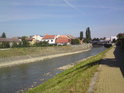 Řeka Morava ve Veselí, zrovna v místě, kde má úplně nejméně vody.