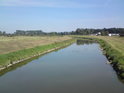 Řeka Morava ve Veselí nad čističkou odpadních vod.