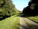 Cesta podél levého břehu Moravy přes národní přírodní rezervaci Horný les.